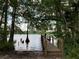 Wooden dock overlooking peaceful lake, surrounded by lush trees at 31857 Dahlia Ct, Eustis, FL 32736