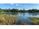 Scenic view of lake and trees on a sunny day at 31857 Dahlia Ct, Eustis, FL 32736