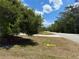 A roadside view with an arrow in the yard pointing to property line in a wooded area at 31857 Dahlia Ct, Eustis, FL 32736