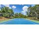Beautifully maintained tennis court surrounded by mature trees, offering a serene and private playing experience at 36700 Oconee Ave, Eustis, FL 32736