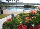 Relaxing community pool with beautiful hibiscus flowers in the foreground and serene lake view at 4087 Capland Ave, Clermont, FL 34711