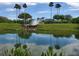 Scenic pond with a fountain, lush landscaping, and palm trees under a blue sky at 5075 China Sea Dr, Tavares, FL 32778