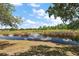 Scenic pond view surrounded by lush vegetation, perfect for nature lovers at 529 Ed Douglas Rd, Groveland, FL 34736