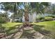 The front yard features a tall palm tree with a view of the back of the house at 809 Northside Dr, Mount Dora, FL 32757