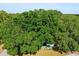 A lush canopy of mature oak trees surround this single story home, nestled in a quiet neighborhood at 9752 County Road 121, Wildwood, FL 34785
