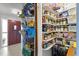 Well-stocked pantry with organized shelves, offering ample storage for food and household items at 9752 County Road 121, Wildwood, FL 34785