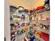 Walk-in pantry with wire shelving stocked with a variety of food items and small appliances at 102 Dogwood Trl, Leesburg, FL 34748