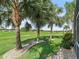 Lush backyard featuring a line of mature palm trees and a well-maintained lawn at 11820 Se 178Th St, Summerfield, FL 34491