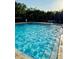 Relaxing community pool with clear blue water and comfortable lounge chairs in a beautiful natural setting at 1231 Merion Dr, Mount Dora, FL 32757