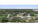 Overhead view of a lovely, tree-lined neighborhood with well-maintained houses and lush greenery at 19627 Spring Oak Dr, Eustis, FL 32736