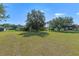 Expansive backyard featuring a lush green lawn and mature shade trees perfect for outdoor activities at 22217 Caledonia Dr, Leesburg, FL 34748
