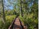 An elevated wooden walkway meanders through a vibrant, verdant landscape, connecting to nature's tranquility at 2871 Myakka River Rd, Tavares, FL 32778
