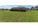 A large grassy yard surrounds this home, providing ample space for outdoor activities at 3319 Barrington Ct, The Villages, FL 32162