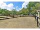 Expansive fenced backyard with lush trees and a clear blue sky at 43411 State Road 19, Altoona, FL 32702
