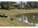 Backyard on the lake with a canoe, geese and goslings by the waterfront at 8167 Bridgeport Bay Cir, Mount Dora, FL 32757