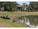 Backyard on the lake with a canoe, geese and goslings by the waterfront at 8167 Bridgeport Bay Cir, Mount Dora, FL 32757