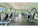 A well-equipped gym offering a variety of modern exercise machines and fitness equipment at 8167 Bridgeport Bay Cir, Mount Dora, FL 32757