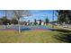 Community sports court with basketball hoops, surrounded by manicured lawns at 817 Ocean Course Ave # 502, Davenport, FL 33896