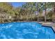 A refreshing community swimming pool reflects the surrounding palm trees and blue sky at 1021 Siena Park Blvd # 204, Kissimmee, FL 34747