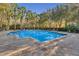 An inviting swimming pool featuring clear water, lounge chairs, and lush palm tree landscaping at 1021 Siena Park Blvd # 204, Kissimmee, FL 34747