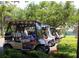 Golf carts with lush green foliage in the background at 11277 Se 170Th Ln, Summerfield, FL 34491