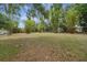 Large backyard featuring mature trees including bamboo at 14490 Se 96Th Ter, Summerfield, FL 34491
