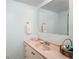 Simple bathroom with a pink vanity, large mirror, and essential amenities at 2110 Oak Cir, Mount Dora, FL 32757