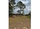 View of a backyard with mature trees and a small outbuilding featuring a metal roof at 23130 Brouwertown Rd, Howey In The Hills, FL 34737