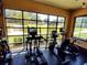Gym with floor-to-ceiling windows offers an active fitness space with natural light and views of the outdoors at 23707 Companero Dr, Sorrento, FL 32776