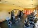 Well-equipped gym with modern weight machines and treadmills for residents' fitness needs at 23707 Companero Dr, Sorrento, FL 32776