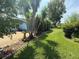 Lush backyard featuring verdant grass, trees, and landscaping near a light blue home at 24841 Pine Hl, Leesburg, FL 34748