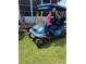 Custom blue golf cart with black rims, flowers, and artwork at 24841 Pine Hl, Leesburg, FL 34748