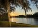 Scenic view of the lake at sunset with lush landscaping and Spanish moss hanging from trees at 4879 Brightmour Cir, Orlando, FL 32837