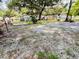 Large, secluded backyard with mature trees, sandy ground and areas with green vegetation at 5809 County Road 547 N, Davenport, FL 33837