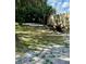 Spacious yard with lush trees and a partially visible fence, partially shaded, showing a serene outdoor area at 5809 County Road 547 N, Davenport, FL 33837