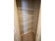 Walk in Closet featuring wire shelving and laminate flooring at 664 Mission Hills Trl, The Villages, FL 32162