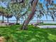 Spacious backyard with mature trees and a path to the private dock overlooking the tranquil lake at 1341 W Lakeshore Dr, Clermont, FL 34711