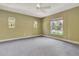 Bedroom with neutral carpet, green walls, and three windows at 1341 W Lakeshore Dr, Clermont, FL 34711