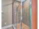 Walk-in tiled shower featuring glass door, shower head and grab bar at 1341 W Lakeshore Dr, Clermont, FL 34711