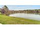 Picturesque view of a serene pond surrounded by lush greenery and community homes at 14430 Desert Haven St # 4302, Windermere, FL 34786