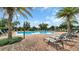 Relaxing pool area with plenty of lounge chairs and palm trees for a perfect getaway at 14513 Winter Stay Dr, Winter Garden, FL 34787