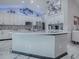 Spacious kitchen features a large center island and plenty of cabinet space at 17563 Se 122Nd Ter, Summerfield, FL 34491