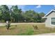 Well maintained front yard with green grass and trees lining the background road at 254 Locust Pass Dr, Ocala, FL 34472
