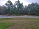 A street view with tall trees and lush greenery in the background at 254 Locust Pass Dr, Ocala, FL 34472