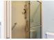 Accessible shower with grab bars and sleek glass enclosure in neutral tones at 2564 Red Cedar Ln, The Villages, FL 32162