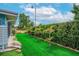 A serene backyard featuring artificial turf, palm trees, and privacy hedges at 2706 Vindale Rd, Tavares, FL 32778