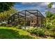 Beautifully landscaped backyard features a screened-in pool, creating a serene and private outdoor oasis at 3141 Brighton Rd, Eustis, FL 32726