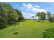 Expansive backyard featuring lush lawn, palm trees, and views of the community lake at 33637 E Lake Joanna Dr, Eustis, FL 32736