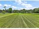 Expansive grassy land, highlighting the property's beautiful lawn and potential at 33637 E Lake Joanna Dr, Eustis, FL 32736