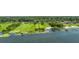 Aerial view of a waterfront lot with docks and lush green space, perfect for building your dream home at 33637 E Lake Joanna Dr, Eustis, FL 32736